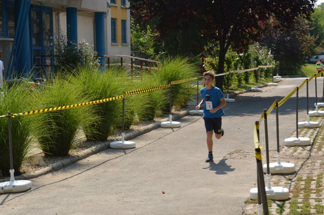 Falunap 2017